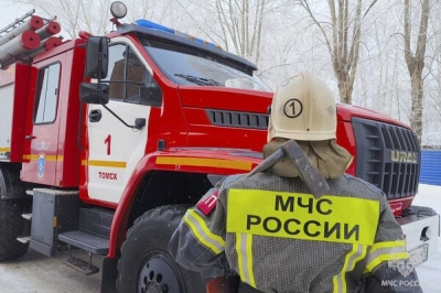 Кремль запускает кадровые чистки в силовом блоке с увольнения Александра Куренкова