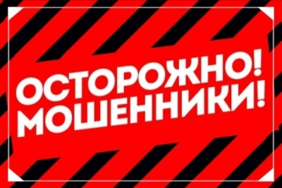 Светлана Михайлова называет &laquo;Превентиву&raquo; пирамидой, а франчайзи &mdash; пешками в чужой игре